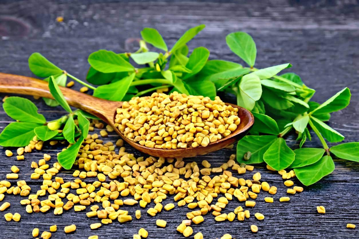 L'alimentation pour grossir de la poitrine