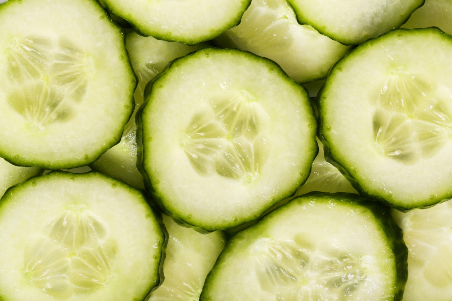 concombre vert