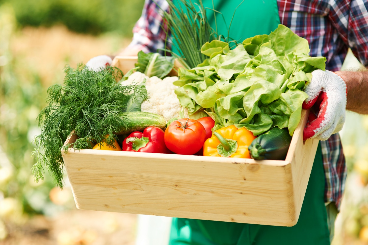 liste de courses healthy