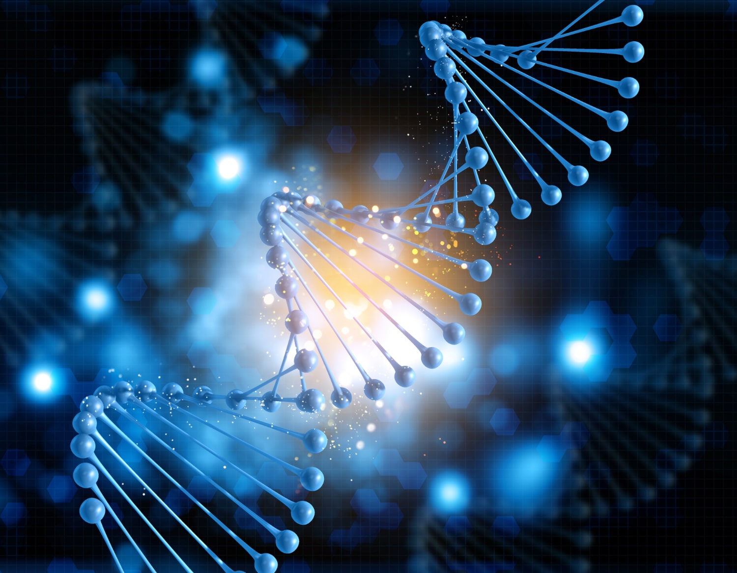 illustration transaminases sgpt