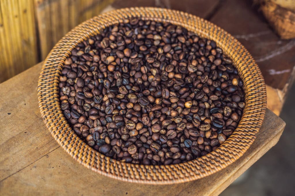 Kopi Luwak : le café le plus cher du monde