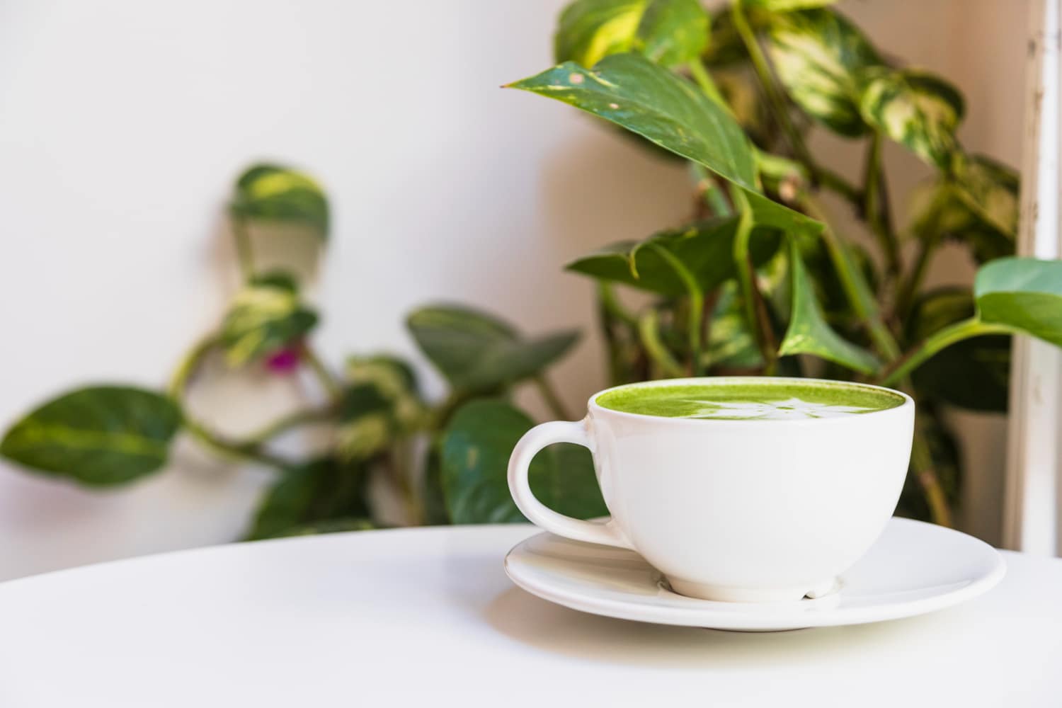 the vert matcha chaud
