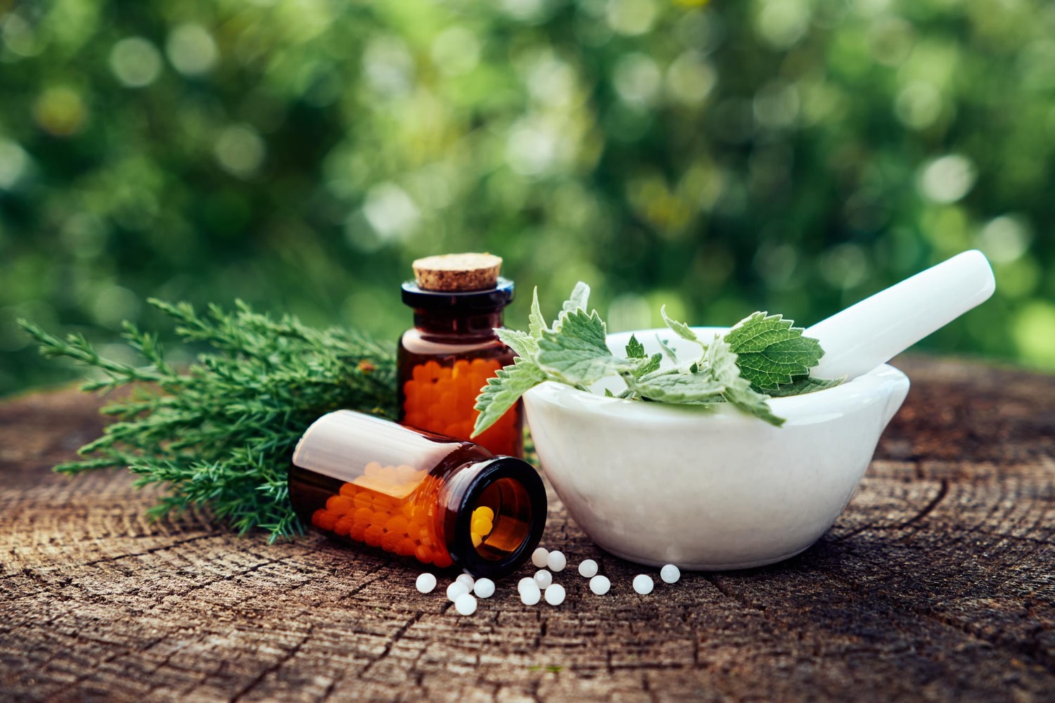 illustration de phytotherapie