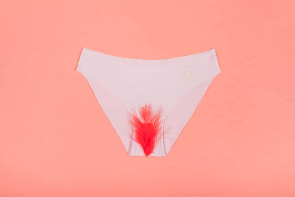 illustration d'une culotte menstruelle