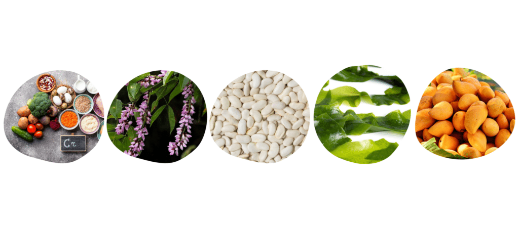 Les ingrédients de Nutrilim 24