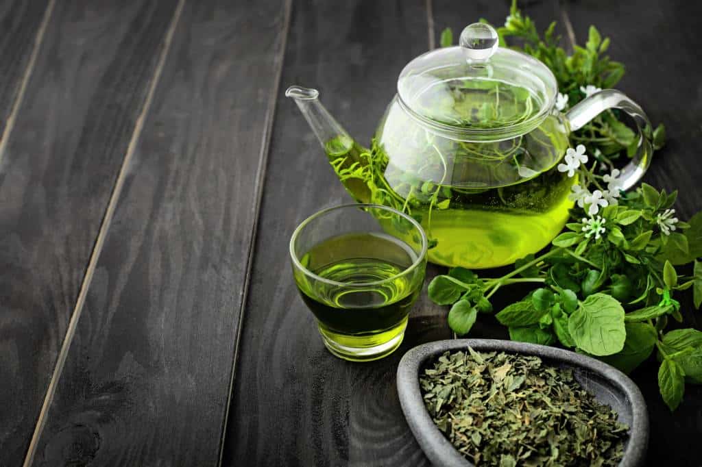 thé vert boisson chaude vertus antioxydantes plante sachet breuvage santé