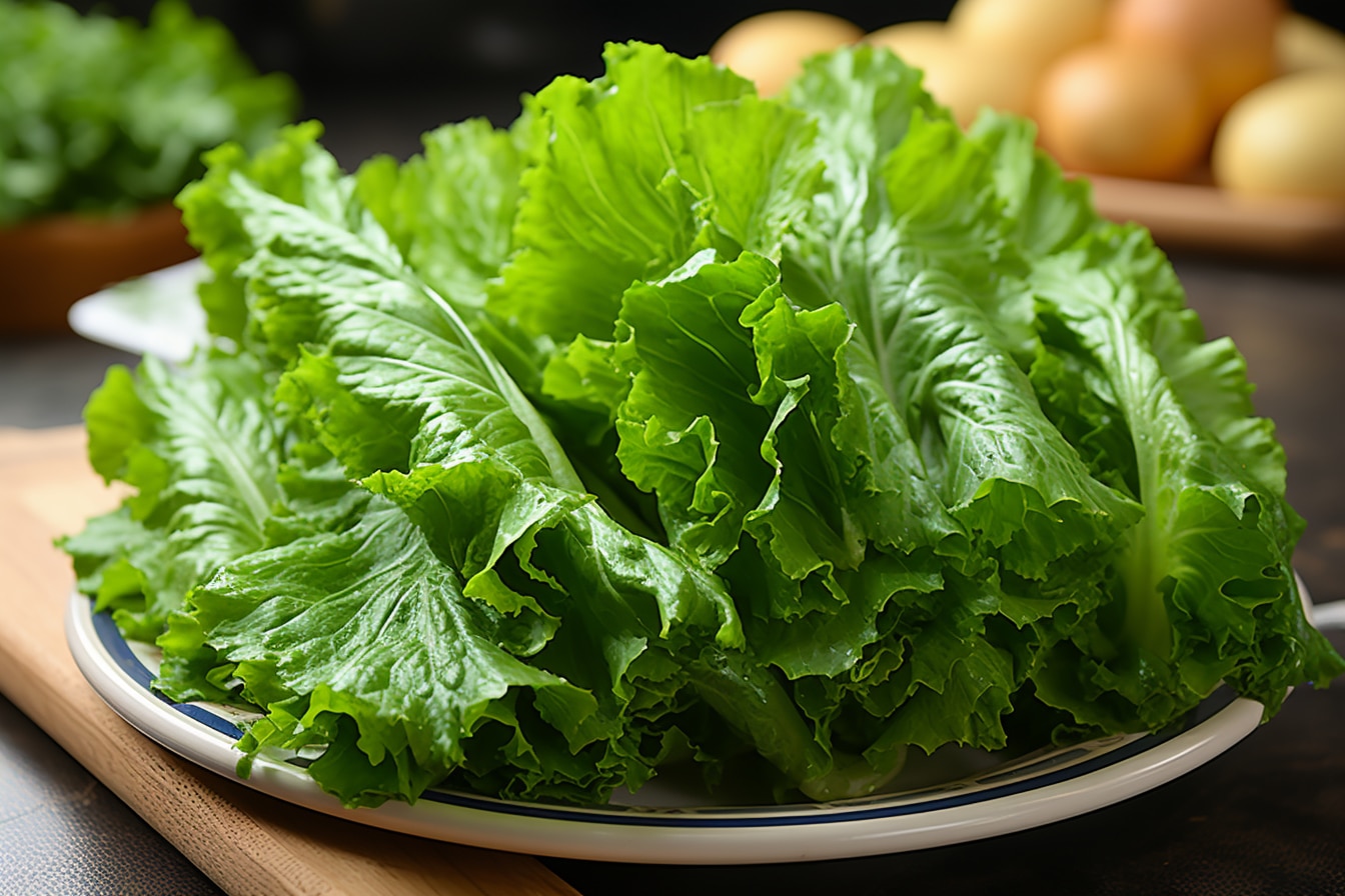 Les bienfaits insoupçonnés de l’endive