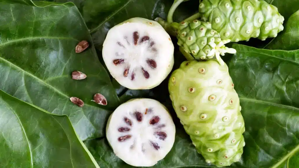 noni pomme chien