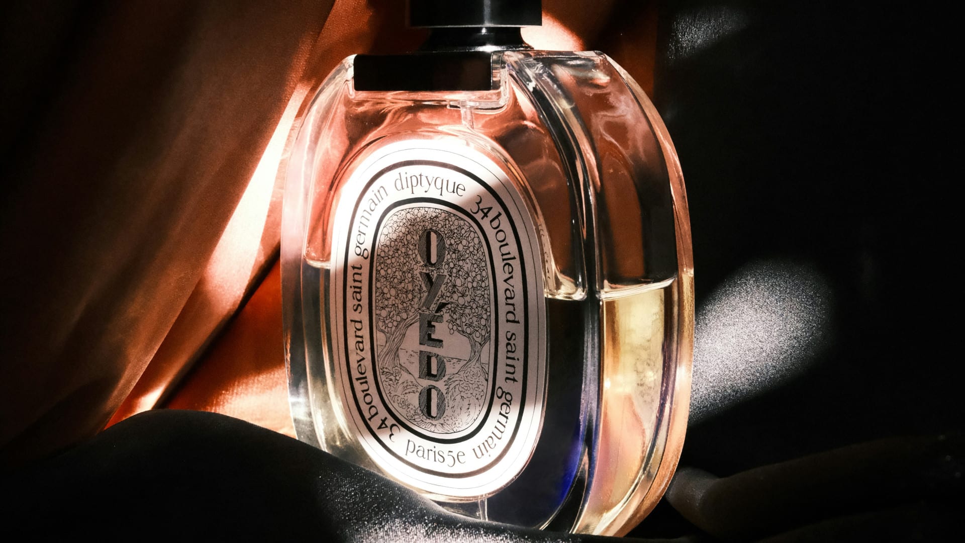 Parfums pour femmes : un monde de possibilités olfactives
