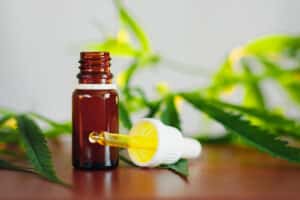cbd oil cannabis extract. hemp oil bottles and hemp flowers on w